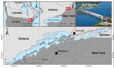 A Multi-Year Assessment of Phytoplankton Fluorescence in a Large Temperate River Reveals the Importance of Scale-Dependent Temporal Patterns Associated With Temperature and Other Physicochemical Variables